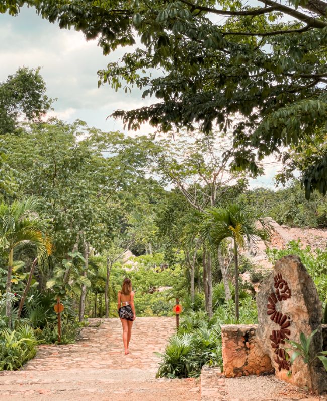 arbol maya en Tsukán Santuario de Vida